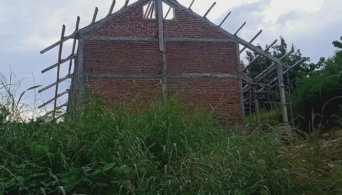 Dugaan Intervensi Proyek DAU, Nama Kontraktor Di Pulau Pantar Termasuk SMPN Abangiwang Disebut Titipan Wakil Bupati Rocky Winario