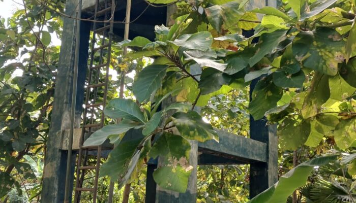 Warga Desa Leer Keluhkan Proyek Rehabilitasi Sumur Bor, Kapolres Alor Didesak Usut Tuntas
