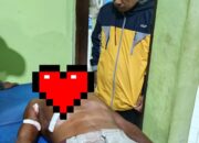 Seorang Petani Di Sikka Diserang Buaya, Korban Berlumuran Darah Dilarikan Ke Puskesmas