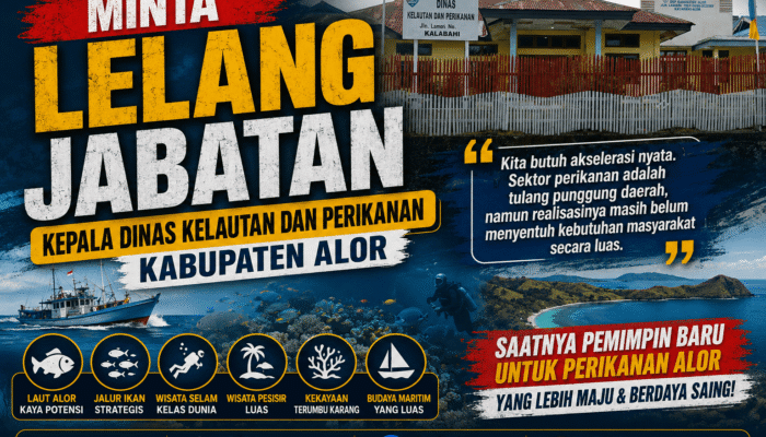 Minta Lelang Jabatan Di DKP! Laut Alor Kaya Potensi, Tetapi Kepemimpinan Strategis Sangat Lemah