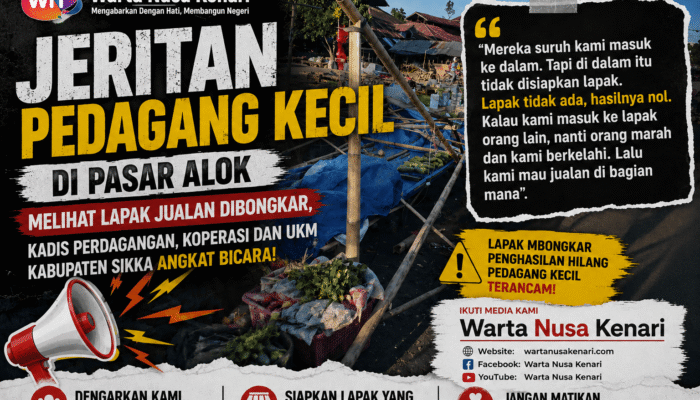 Jeritan Pedagang Kecil Di Pasar Alok! Pengelola Bungkam Terhadap Pembongkaran Lapak, Kadis Valerianus: Ditertibkan Dan Ditempatkan