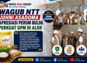 Ketersediaan Pasokan Beras Melimpah, Perum BULOG Perkuat GPM Di Alor