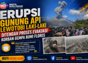 Gunung Lewotobi Laki-Laki Kembali Meletus