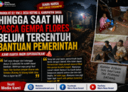 Enam Hari Pasca Gempa Flores, Korban Di Sikka Mengaku Belum Dapat Bantuan Pemerintah: Kita Orang Susah Begini