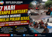 7 Hari Pasca Gempa Flores, Warga Wuring Dan Wolomarang Mengaku Belum Terima Bantuan Pemerintah: “Kami Mulai Pinjam Beras”