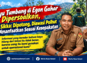 Heboh Kayu 5 Kubik Di Hutan Lindung Egon Gahar! KPH Sikka Bantah Hilang: Uangnya Untuk Operasional