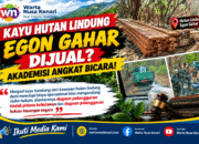 Akademisi Hukum Soroti Penjualan Kayu Tumbang Hutan Lindung Egon Gahar Untuk Biaya Operasional KPH