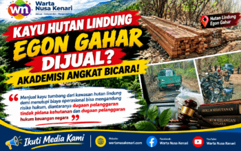 Akademisi Hukum Soroti Penjualan Kayu Tumbang Hutan Lindung Egon Gahar Untuk Biaya Operasional KPH