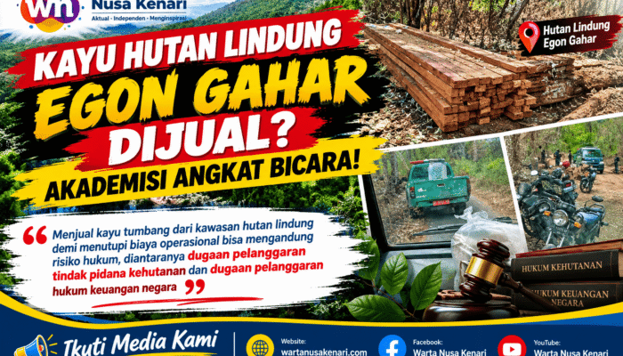 Akademisi Hukum Soroti Penjualan Kayu Tumbang Hutan Lindung Egon Gahar Untuk Biaya Operasional KPH
