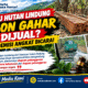 Akademisi Hukum Soroti Penjualan Kayu Tumbang Hutan Lindung Egon Gahar Untuk Biaya Operasional KPH