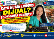 Polemik Kayu Tumbang Egon Gahar Makin Panas! Advokat Pertanyakan Legalitas, Pembeli hingga Aliran Uang