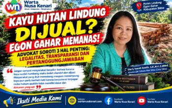 Polemik Kayu Tumbang Egon Gahar Makin Panas! Advokat Pertanyakan Legalitas, Pembeli hingga Aliran Uang