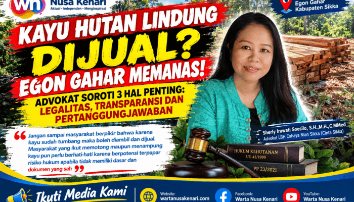 Polemik Kayu Tumbang Egon Gahar Makin Panas! Advokat Pertanyakan Legalitas, Pembeli hingga Aliran Uang